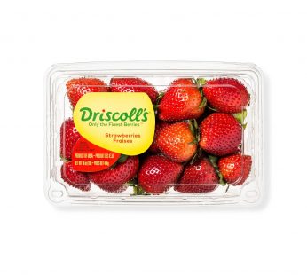 Fresh Organic Strawberry
