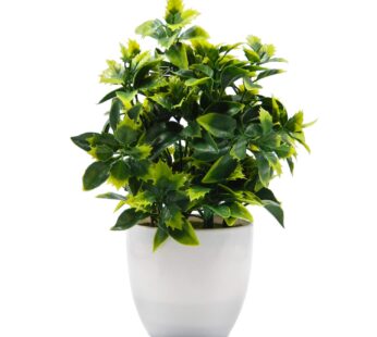 OFFIDIX Artificial Plastic Mini Plants in White Pot,Desk Plant Artificial Flowers with Vase,Small Faux Plastic Plants for Home Kitchen Garden Office Indoor Décor